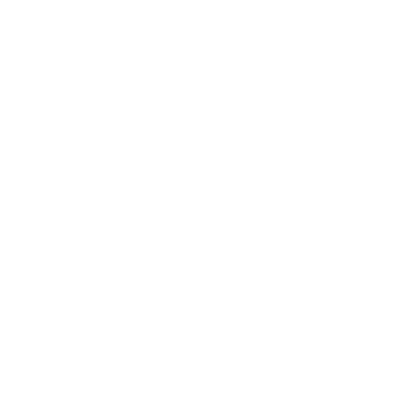 BPPE Logo 2